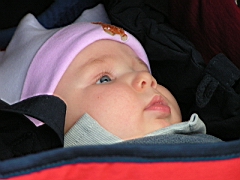 N&aacute;v&scaron;těva v Poličce 13. 08. 2005